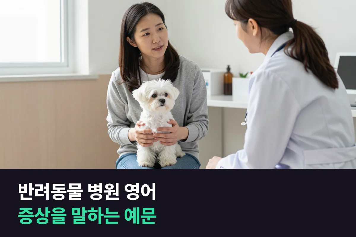 해외 동물병원에서 반려동물 증상을 영어로 어떻게 말할까요?